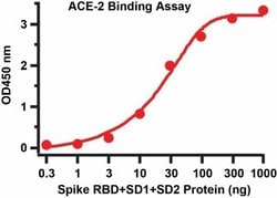 Novus Biologicals Recombinant SARS-CoV-2 Spike (RBD+SD1+SD2) His (C-Term) Protein 0.05 mg | Buy Online | Novus Biologicals&trade; | Fisher Scientific